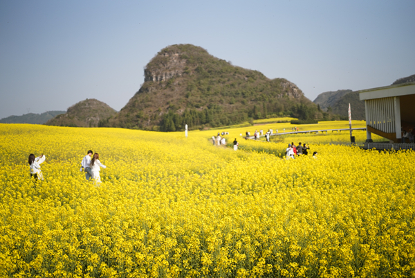 农业农村局 袁帆4_副本.jpg