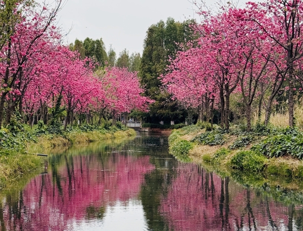 微信图片_20260320155835