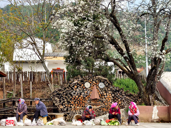 医保局 张永艳1_副本.jpg