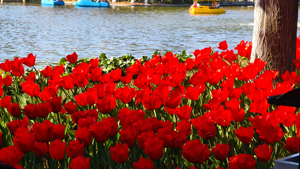 区法院-张崮湖拍摄 (2)_副本.jpg