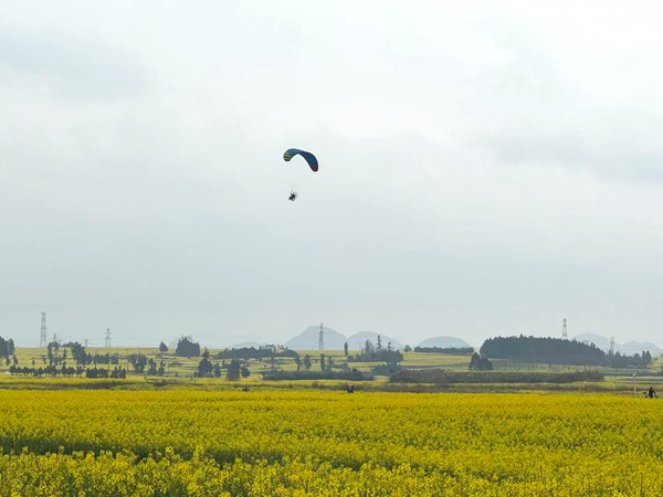 农业农村局 袁帆_副本.jpg