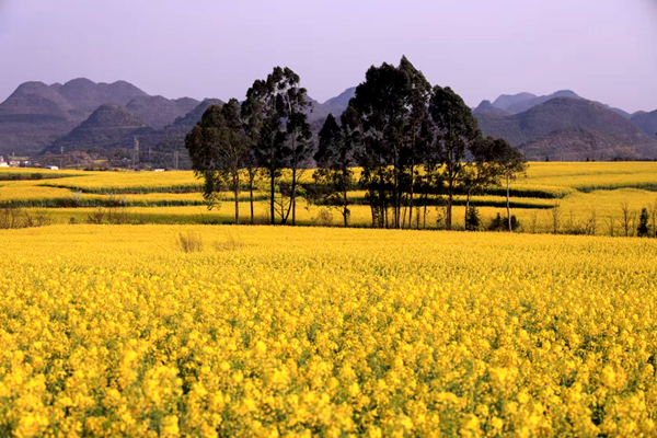 公安局 广明飞      网安3_副本.jpg