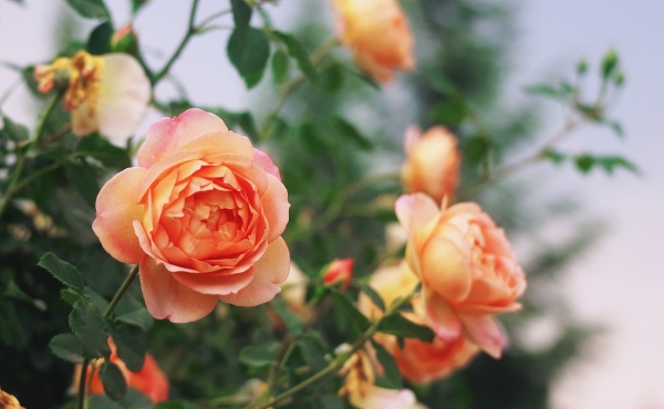 微信图片_20260420160552