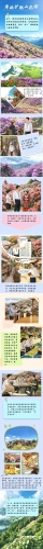 第五稿_副本.jpg