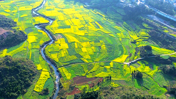 编办 孙邦丰_副本.jpg