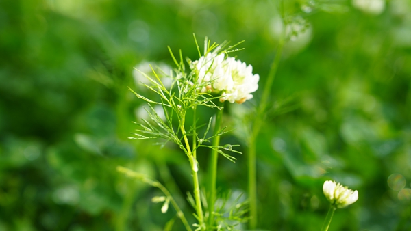 1776233123102046590.jpg DSC04310_副本.jpg