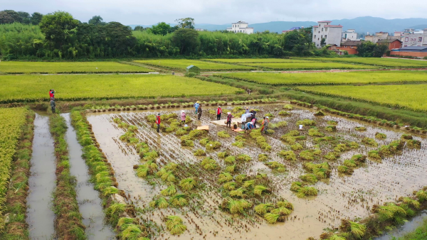 嵩明
