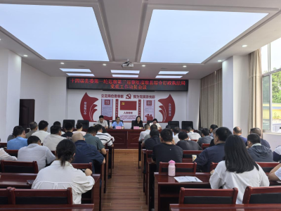 图片7