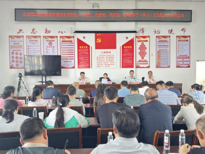 图片11