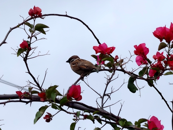 党校 边小月5_副本.jpg