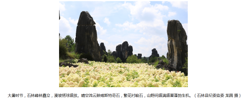 微信图片_20260724142145_313_2.png